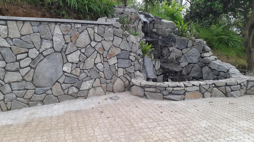Lasha Guest House Makhinjauri Exterior photo
